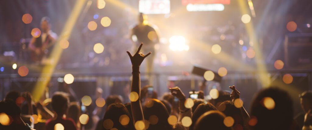 Live Concert Crowd