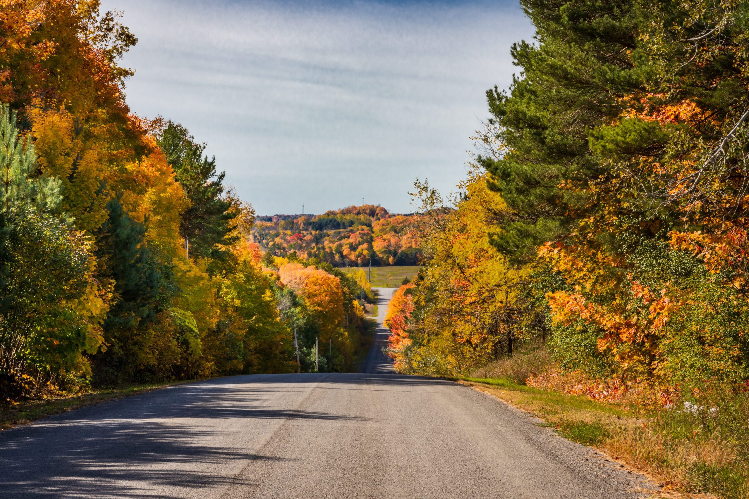 The rolling hills of Northumberland County in Autumn.