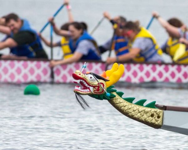 Dragonboat Race