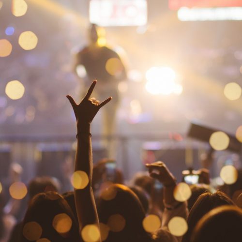 Live Concert Crowd
