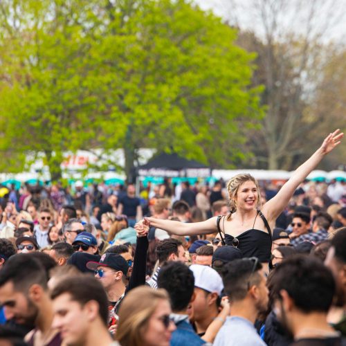 Outdoor Music Festival Crowd